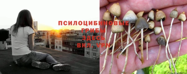 молекула духа Володарск