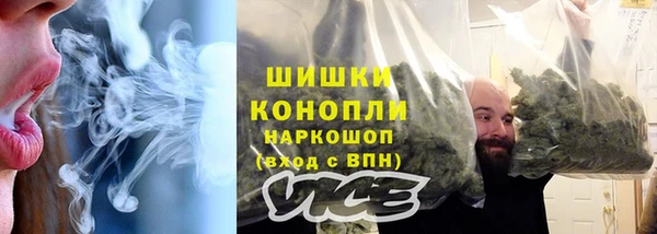 прущие грибы Волоколамск
