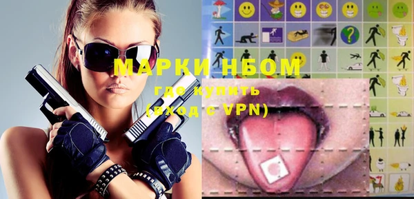 прущие грибы Волоколамск