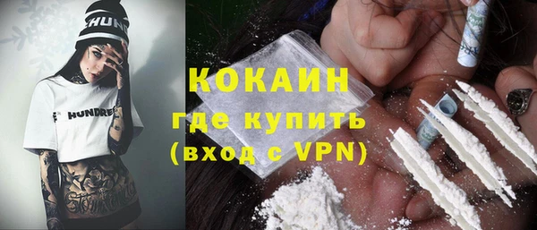 прущие грибы Волоколамск