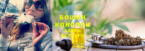прущие грибы Волоколамск