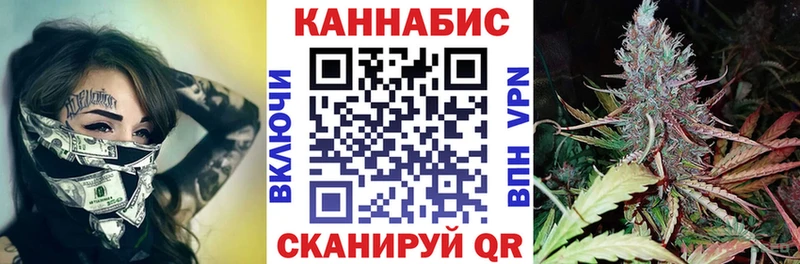 Каннабис сатива Боровичи